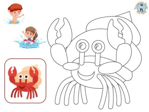 hermit crab coloring page