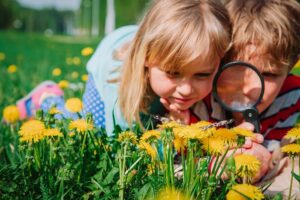 Bug scavenger hunt : type of play for children 