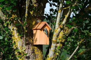 nature activities for kids : make a birdhouse