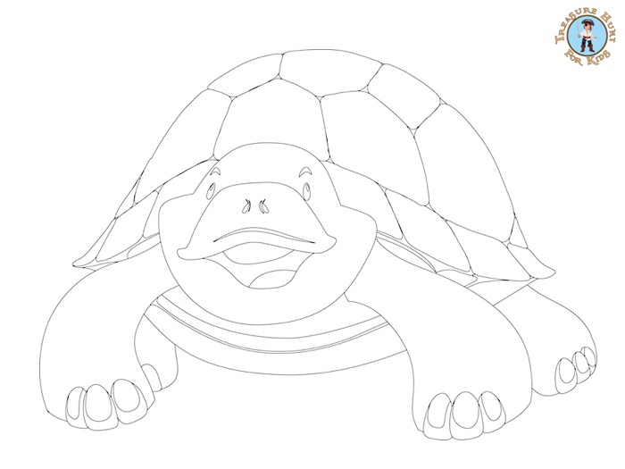 turtle printable coloring page