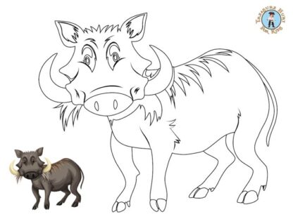Warthog coloring page