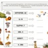 Savanna Mystery game puzzle for kids party