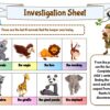 Zoo detective adventure