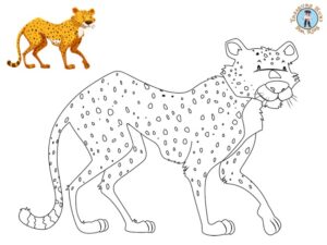 Leopard Coloring Page - Free Printables - Treasure hunt 4 Kids