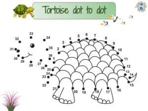 Tortoise dot to dot - Treasure hunt 4 Kids - Printable game