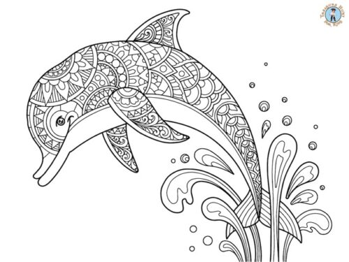 Dolphin detailed coloring page
