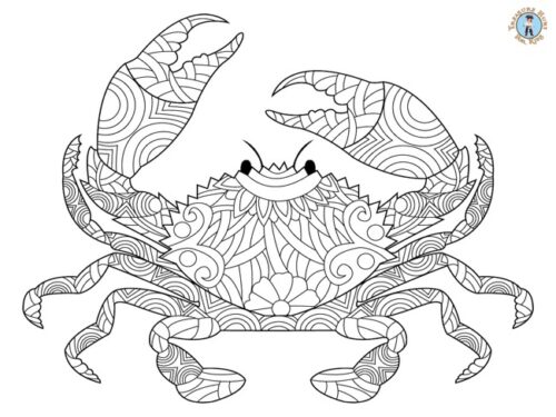 Crab detailed coloring page