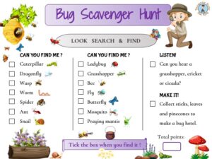 Bug scavenger hunt - Treasure hunt 4 Kids - Free Printable