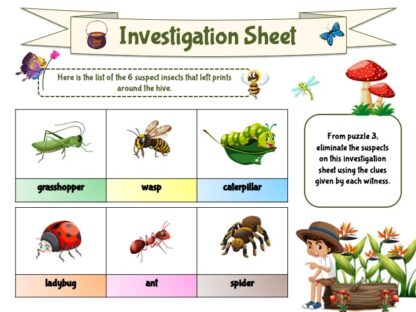 Insect investigation sheet: the garden's honey heist