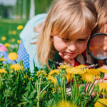 Bug party games