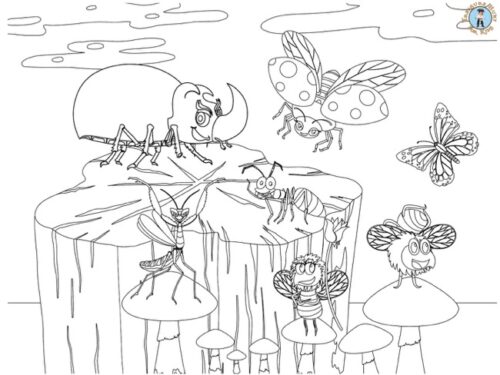 Insects coloring page