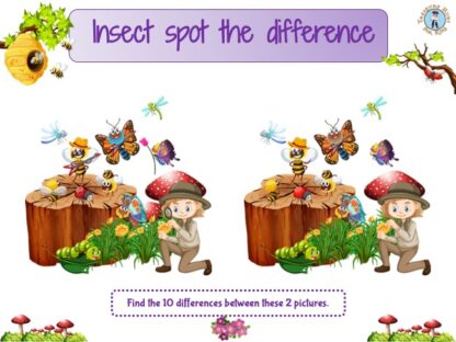 Insect find differences game