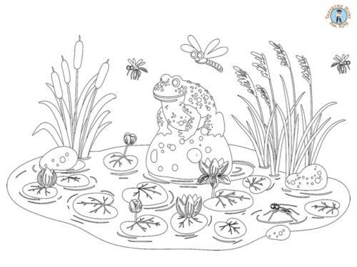 The frog in the pond coloring page