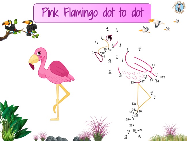 Pink flamingo dot to dot