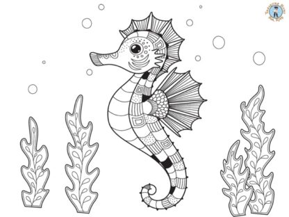 Seahorse detailed coloring page