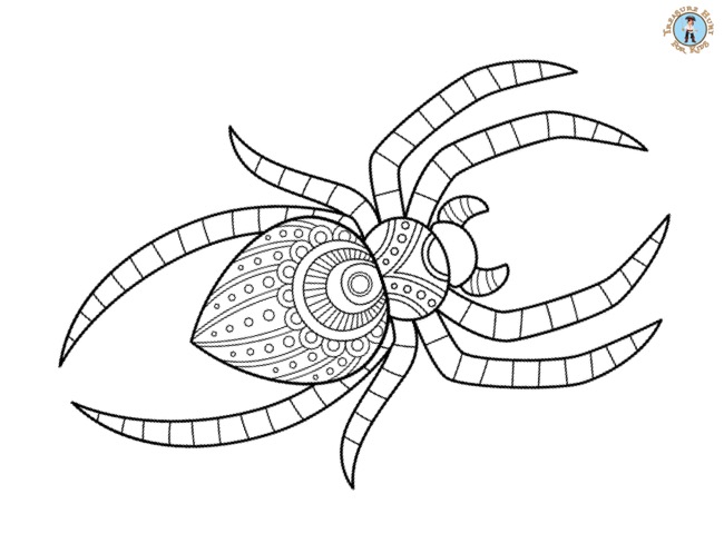 Spider detailed coloring page