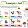 Farm Animal Detective Game