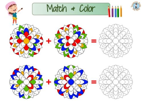 Match & Color : Color matching activity