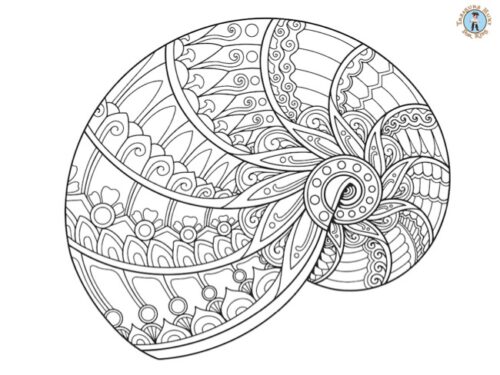 Detailed Stress-Relief Coloring page: Seashell