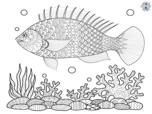 Stress-Relief Fish Coloring Page: Intricate and Relaxing