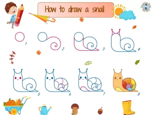 How to draw a snail - Step-by-step drawing - Free Downloadable Drawing Tutorials